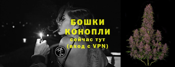 гидропоника Белоозёрский