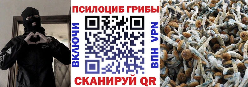 Псилоцибиновые грибы прущие грибы Купить где Гдов